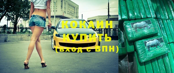 стафф Алексин