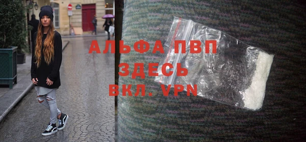 стафф Алексин