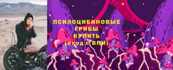 дурь Алексеевка
