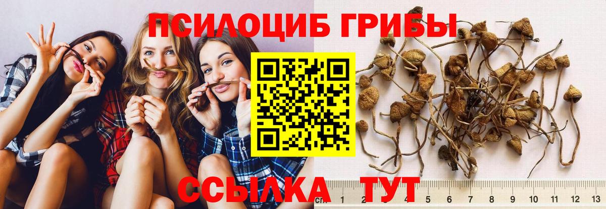 Псилоцибиновые грибы Magic Shrooms  Вход с VPN  Воткинск  Псилоцибиновые грибы MAGIC MUSHROOMS 